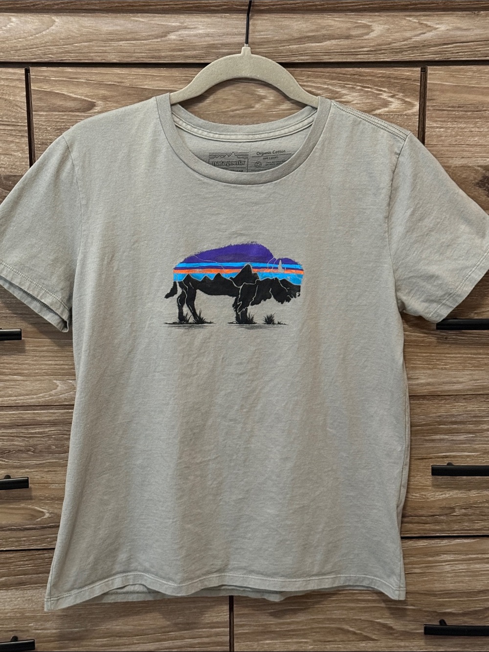 Patagonia Fitz Roy Bison Organic Cotton Crew T-Shirt Size Small Feather Grey